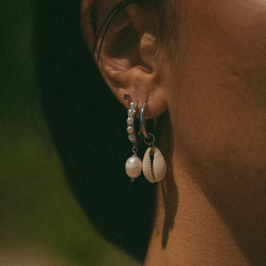 Silver Shell Earrings